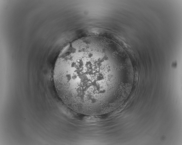 X0000091680331200709061110