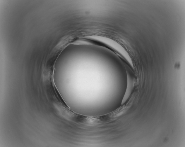 X0000091680333200709061110