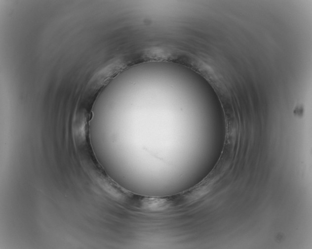 X0000091680334200709061109