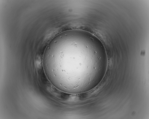 X0000091680335200709061109