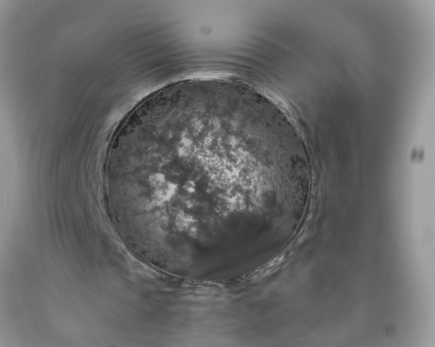 X0000091680337200709061109