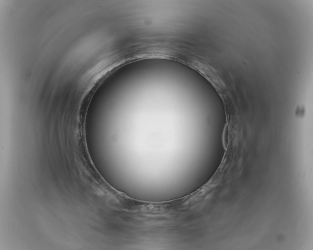 X0000091680338200709061109