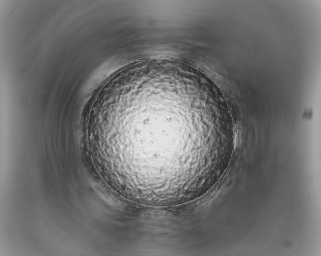 X0000091680339200709061109