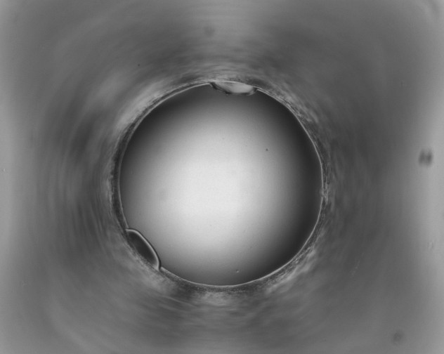 X0000091680341200709061109
