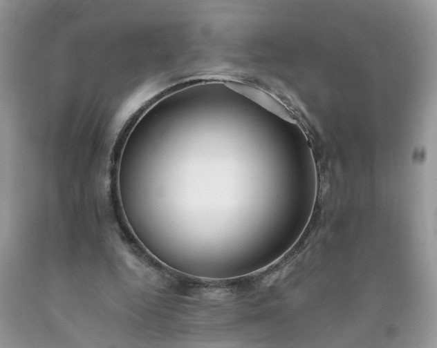 X0000091680344200709061109
