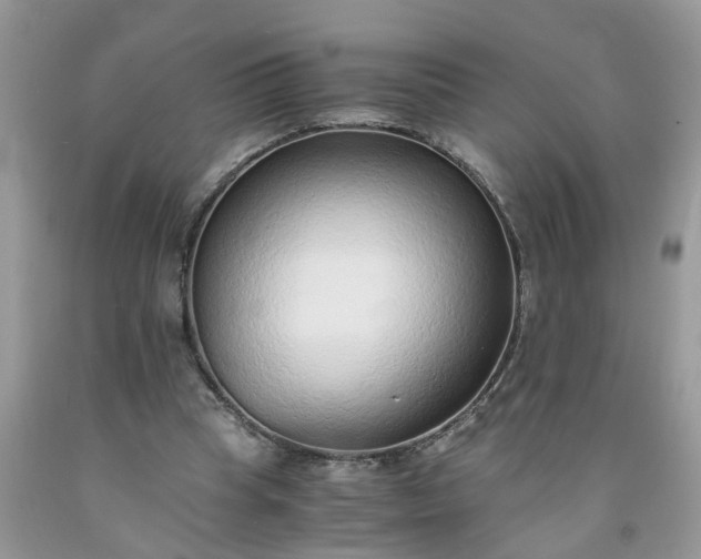 X0000091680345200709061109
