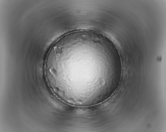 X0000091680346200709061109