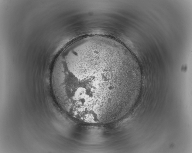 X0000091680347200709061109