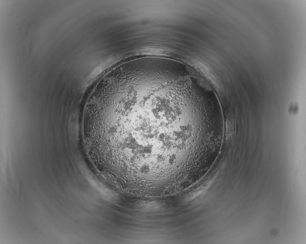 X0000091680349200709061109