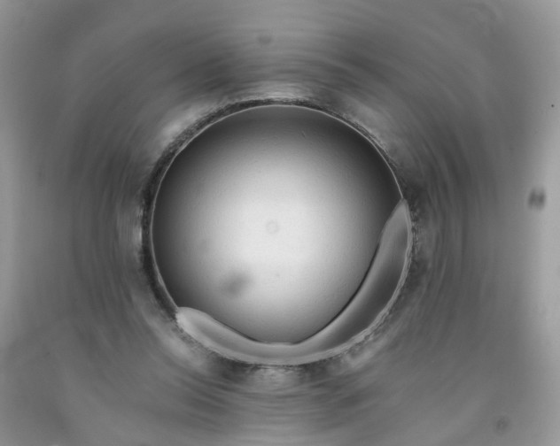 X0000091680350200709061109