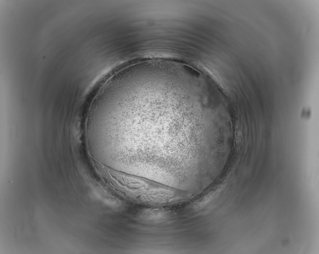 X0000091680351200709061109