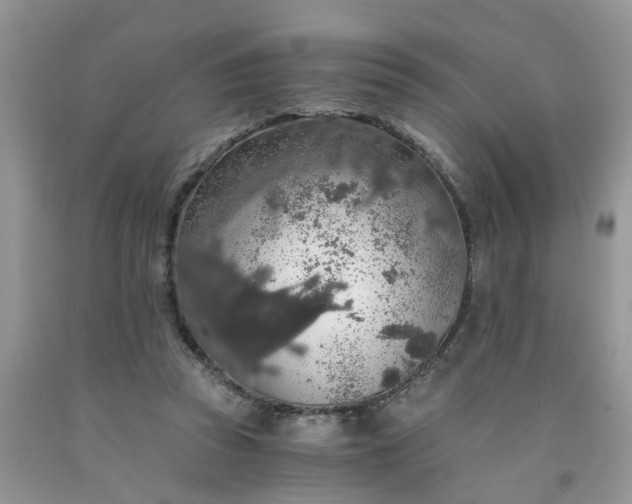 X0000091680353200709061109