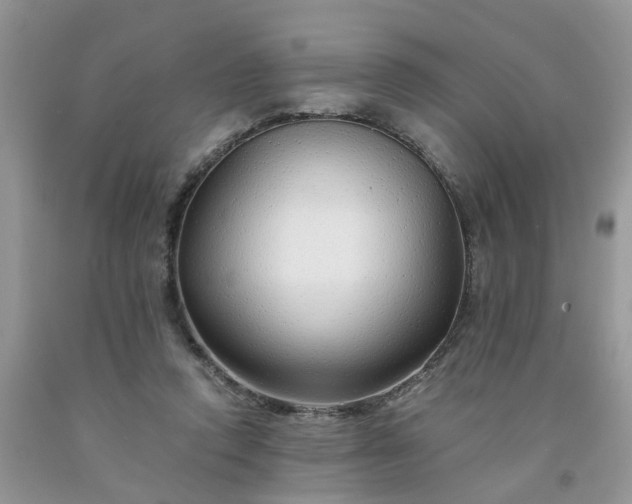 X0000091680354200709061109