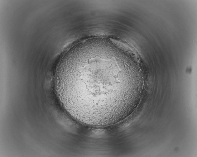 X0000091680355200709061109