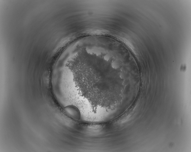 X0000091680357200709061109