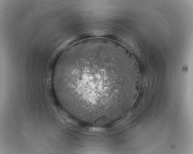 X0000091680360200709061109