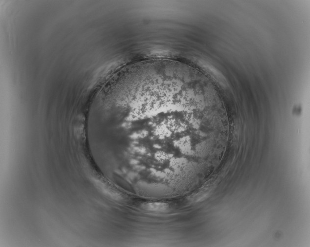 X0000091680361200709061109