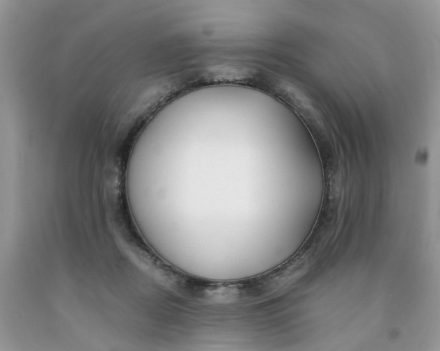 X0000091680362200709061109