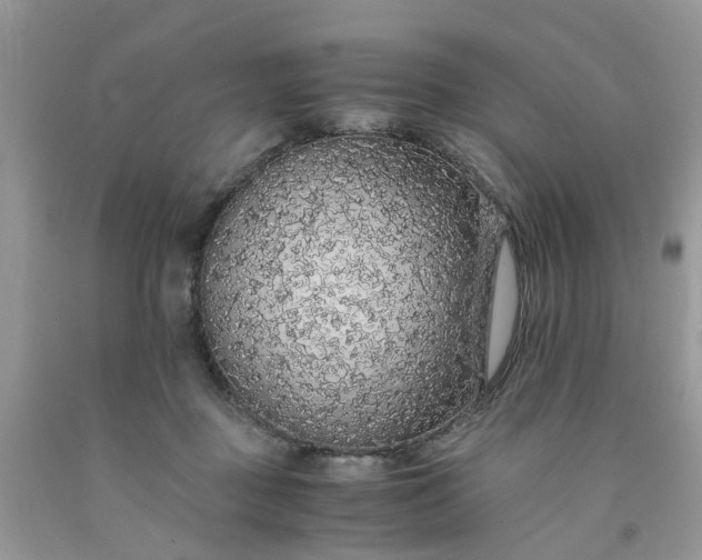 X0000091680363200709061109
