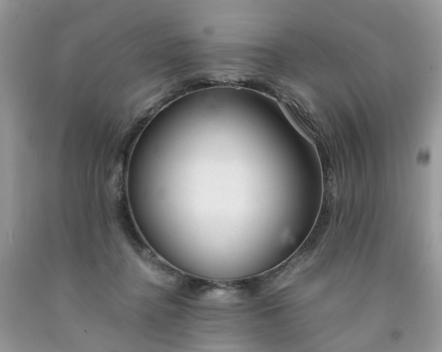 X0000091680364200709061109