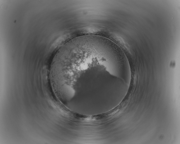 X0000091680366200709061109