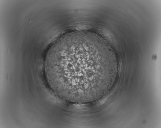 X0000091680367200709061109