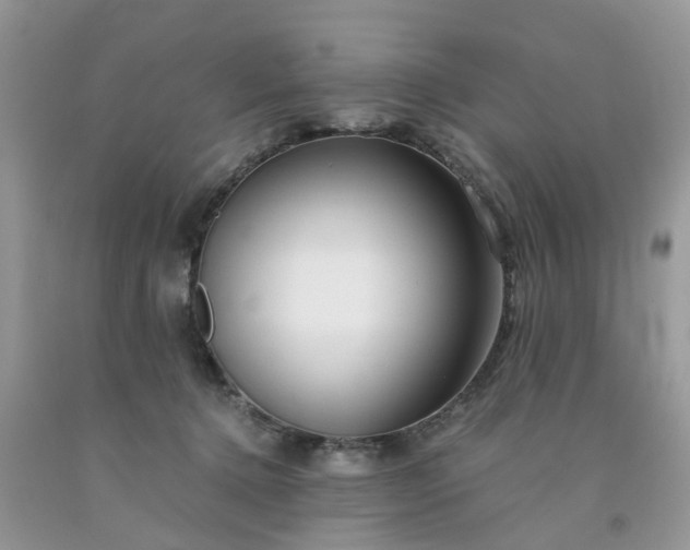 X0000091680368200709061109