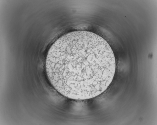 X0000091680370200709061109