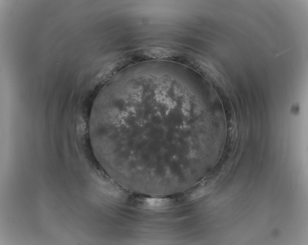 X0000091680371200709061109
