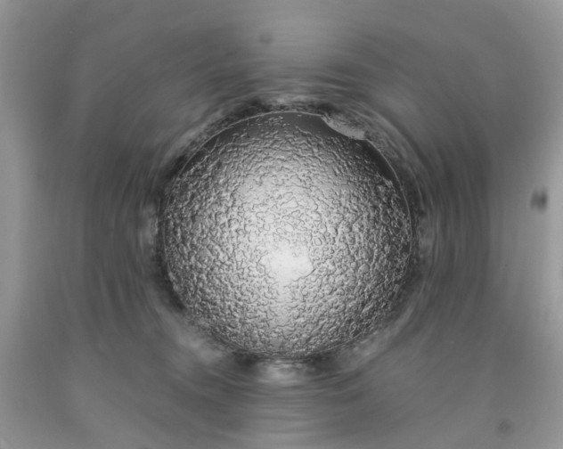 X0000091680372200709061109