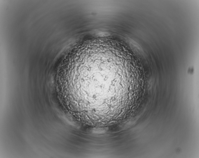 X0000091680373200709061109