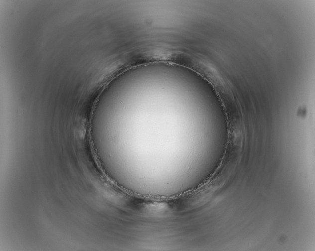 X0000091680374200709061109