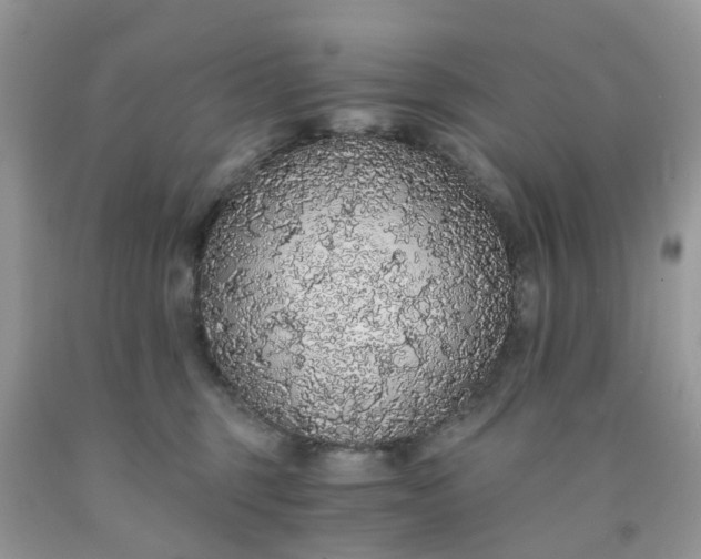 X0000091680375200709061109