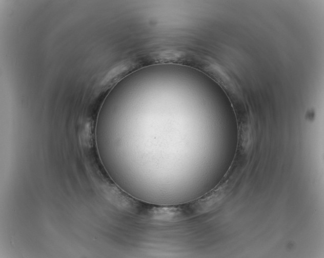 X0000091680378200709061109