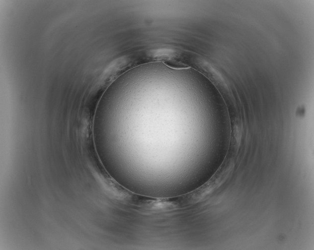 X0000091680379200709061109
