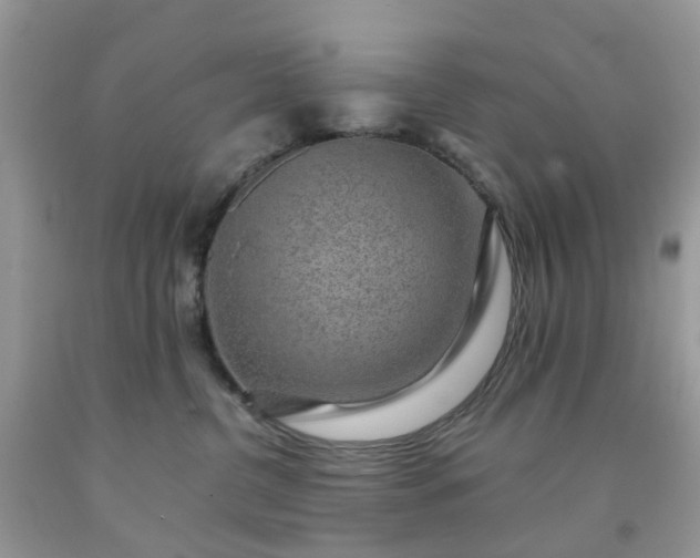 X0000091680380200709061109