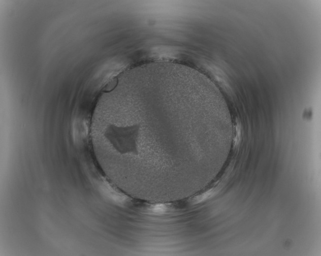 X0000091680382200709061109