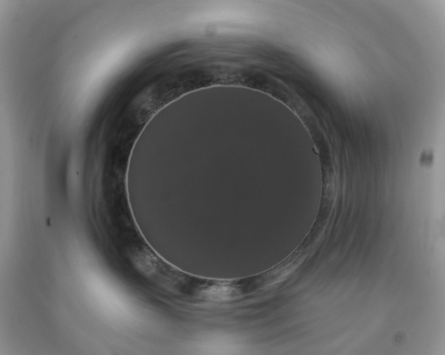 X0000091680383200709061109
