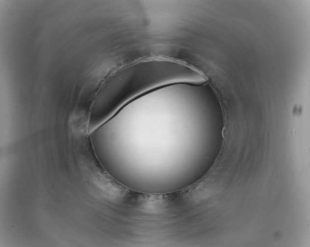 X0000091680384200709061109