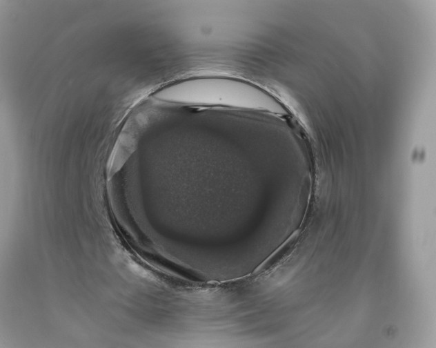 X0000091680385200709061109