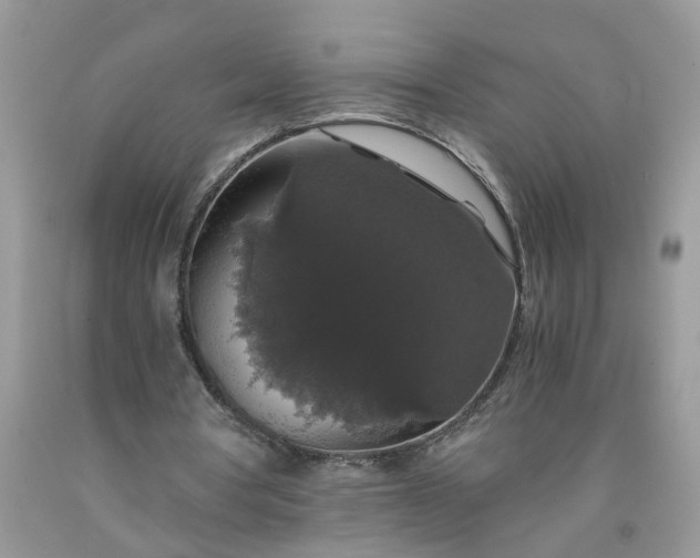 X0000091680386200709061109