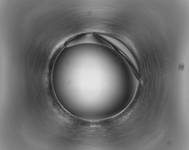 X0000091680388200709061109