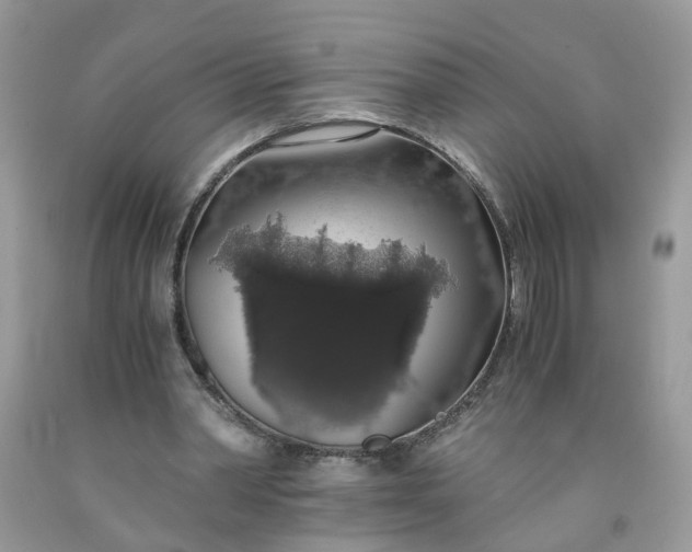 X0000091680390200709061109