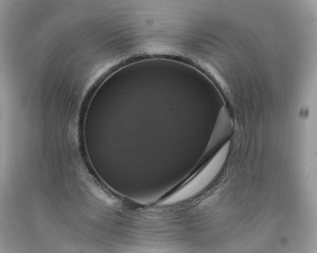 X0000091680391200709061109