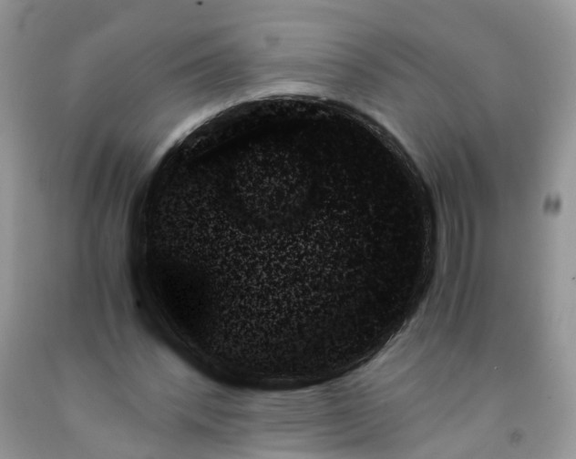 X0000091680392200709061109