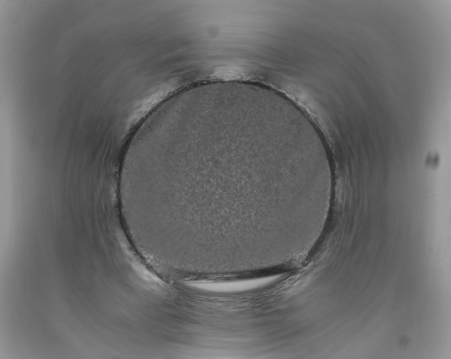 X0000091680393200709061109