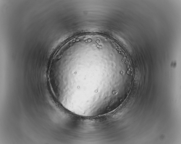 X0000091680394200709061109