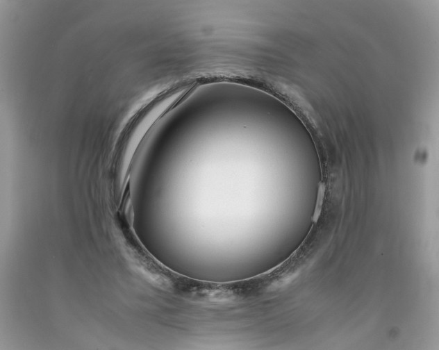 X0000091680395200709061109