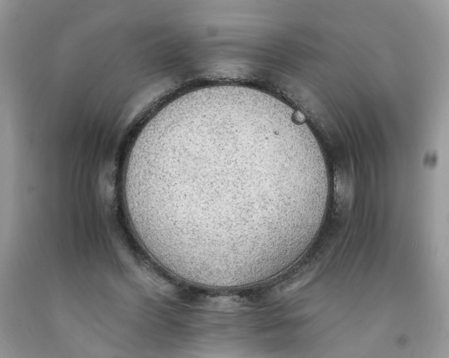 X0000091680396200709061109