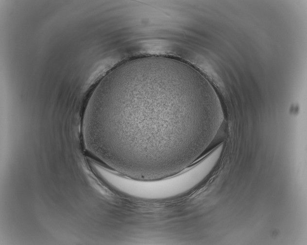 X0000091680397200709061109